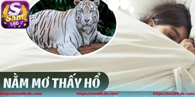 Cao thủ Sam86 chỉ bạn các bí quyết mộng cọp đánh đề