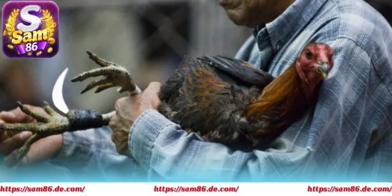 Cửa rủi ro cao đầy hồi hộp cùng khoản thưởng khủng