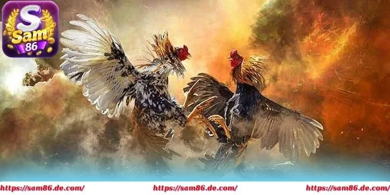 Lựa chọn sân chơi uy tín giúp bạn nhận nhiều thưởng lớn