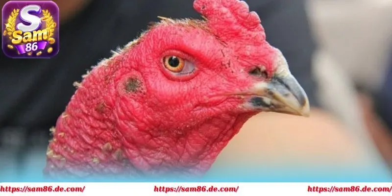 Lưu ngay những kinh nghiệm để tham gia hiệu quả hơn