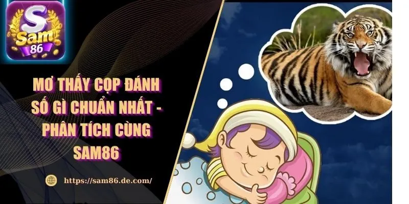 Mơ Thấy Cọp Đánh Số Gì Chuẩn Nhất - Phân Tích Cùng Sam86