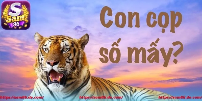 Những giải đáp của Sam86 khi thắc mắc mơ thấy cọp đánh số gì